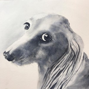 Watercolour dog