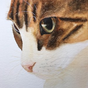 Watercolour cat