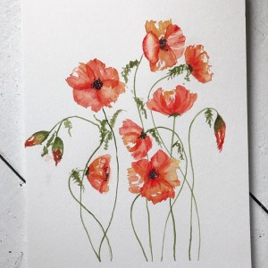 Watercolour flowers poppies