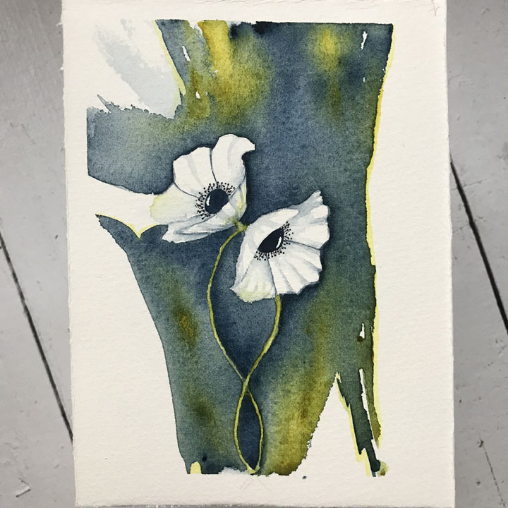 Watercolour flowers