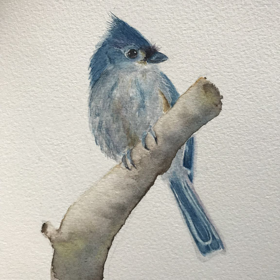 watercolour bird