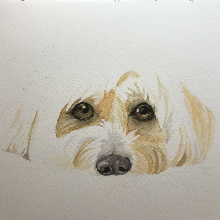 Watercolour dog minimalist style