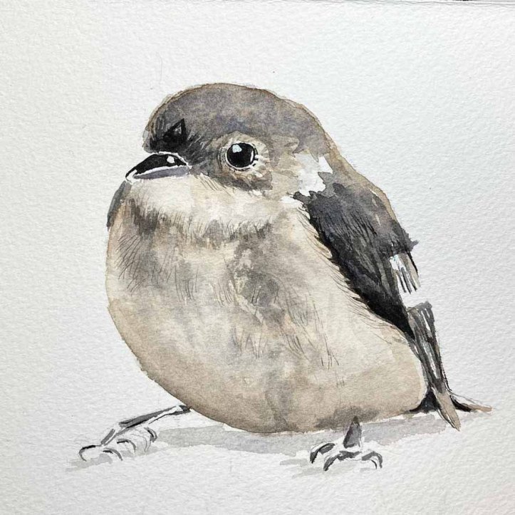 watercolour picture of sparrow