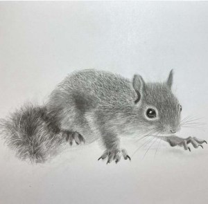 Squirrel in graphite