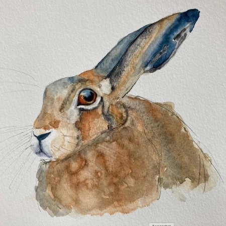 watercolour hare