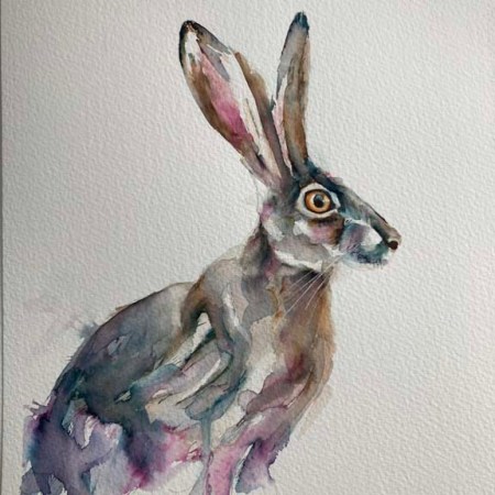 Watercolour Hare