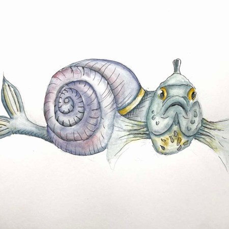 Final project: snail fish