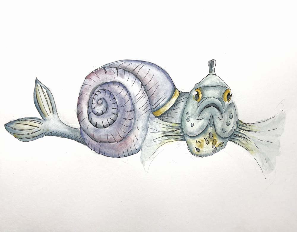 Final project: snail fish