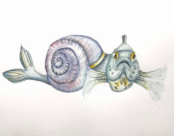 Final project: snail fish