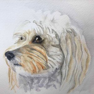 white dog fail 5