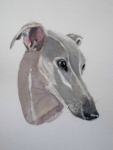 white greyhound alternative
