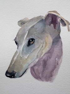 white greyhound alternative